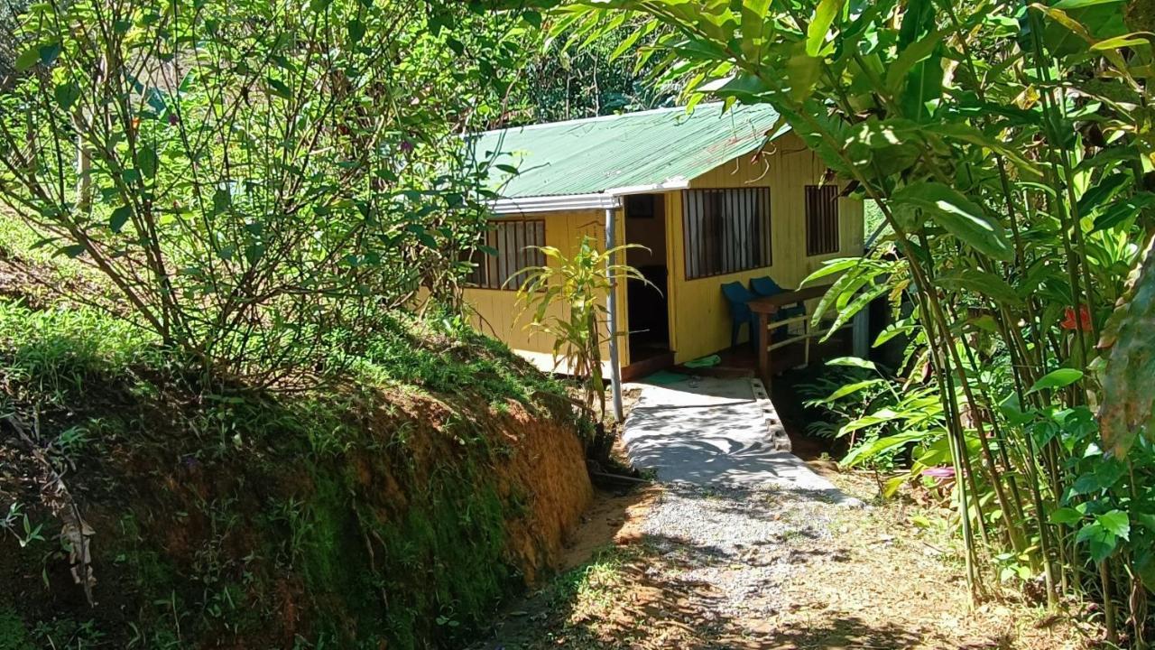Cabanas Tico Gringo Drake Bay Luaran gambar